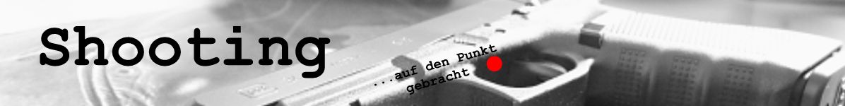 Taktik Ausbildung für Personenschutz in Wien